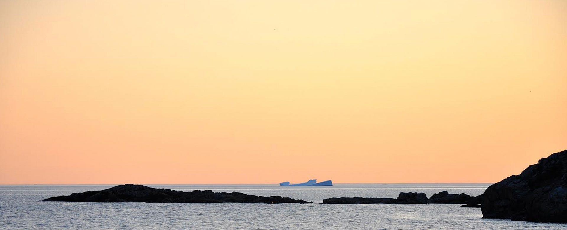 suset-icebergs